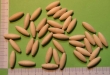 180/24